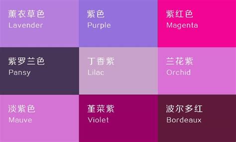 李宓生 紫色要配什麼顏色